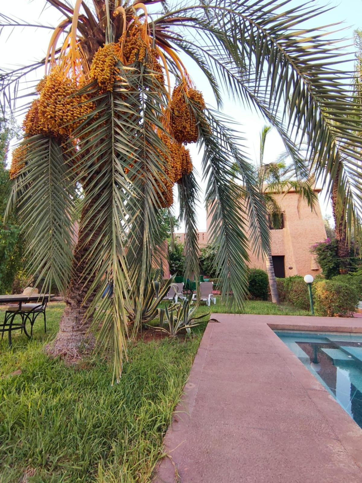 Riad Sheherazade Marrakech Marrakesh Luaran gambar