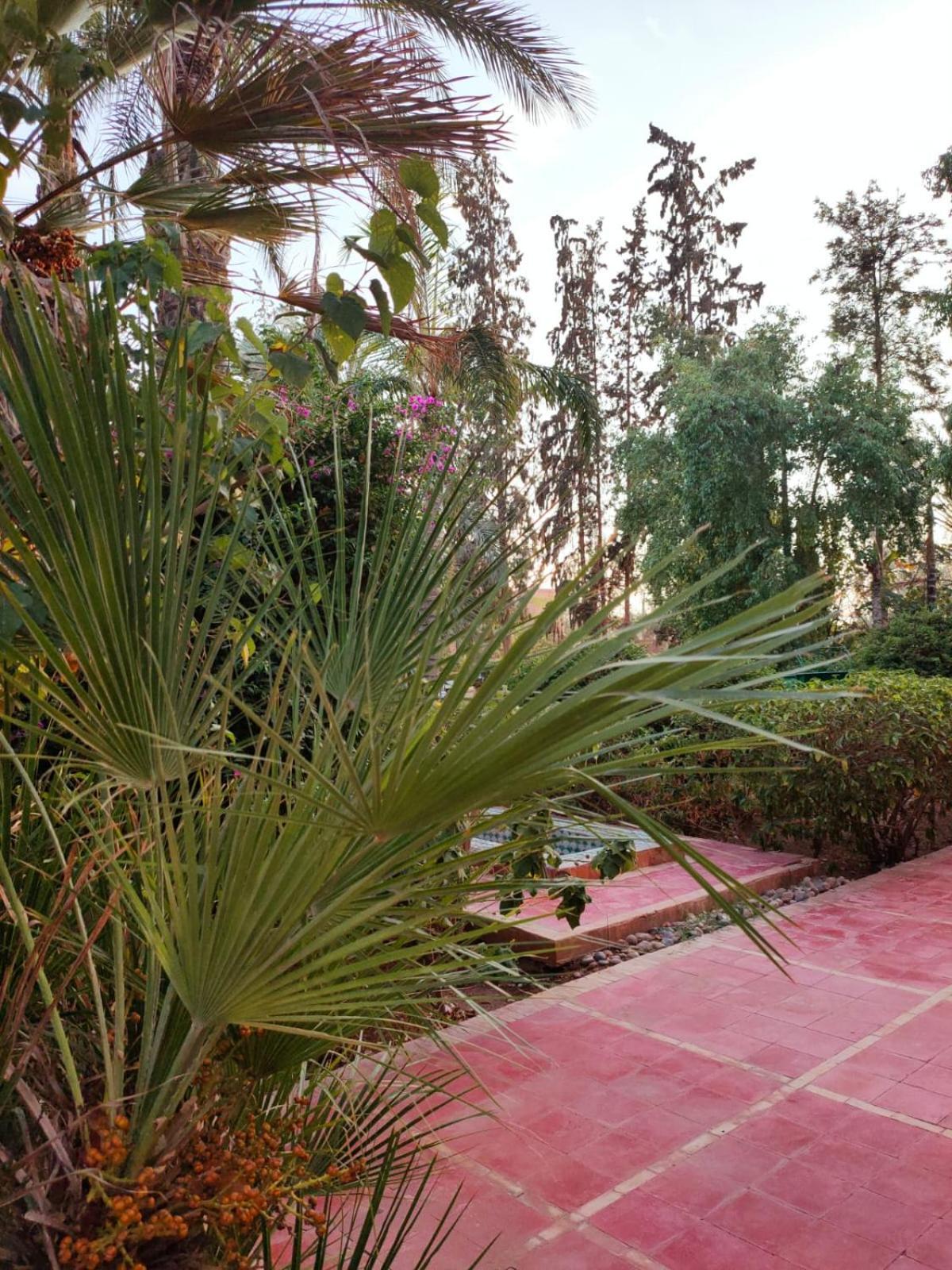 Riad Sheherazade Marrakech Marrakesh Luaran gambar