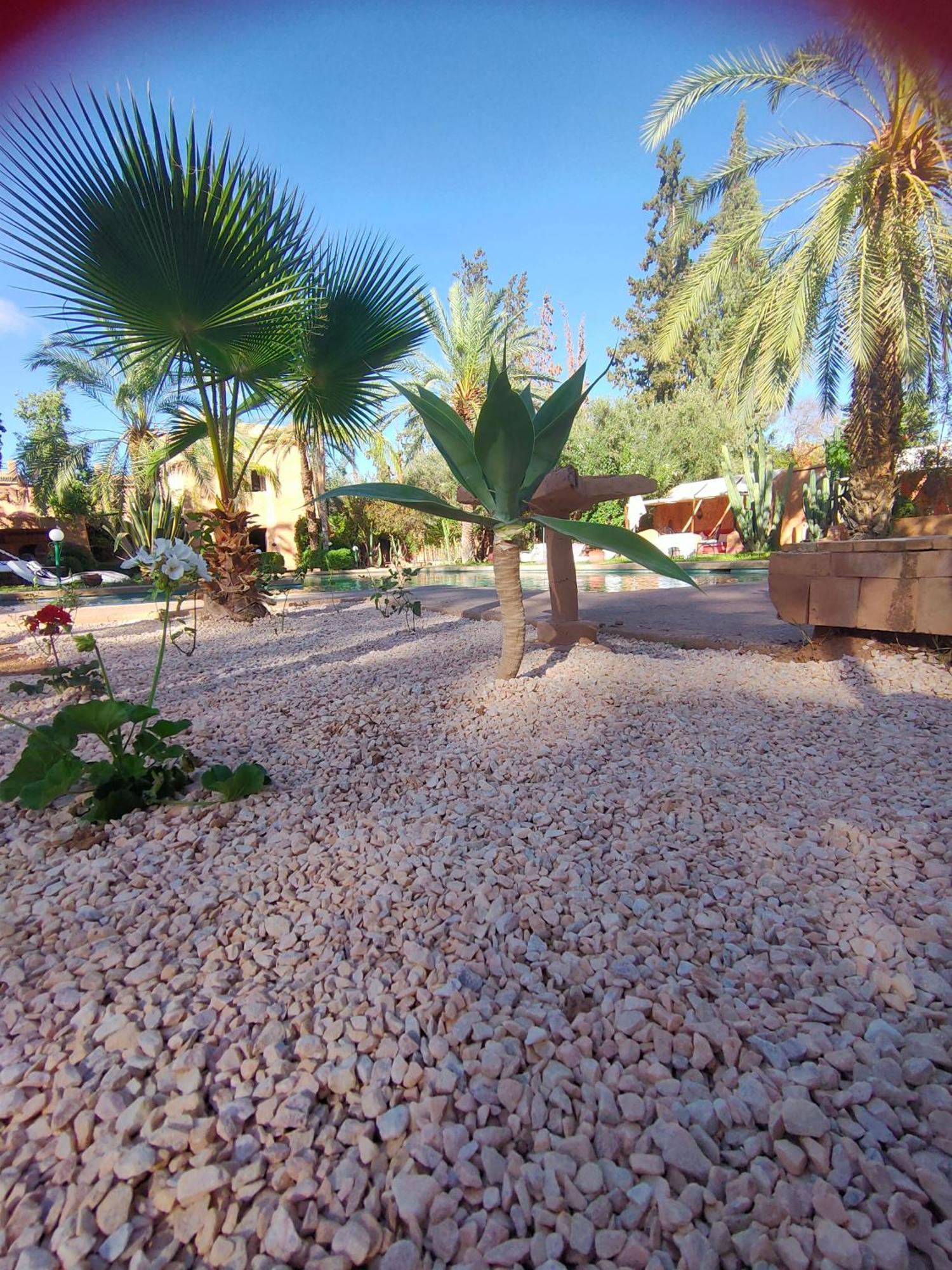 Riad Sheherazade Marrakech Marrakesh Bilik gambar